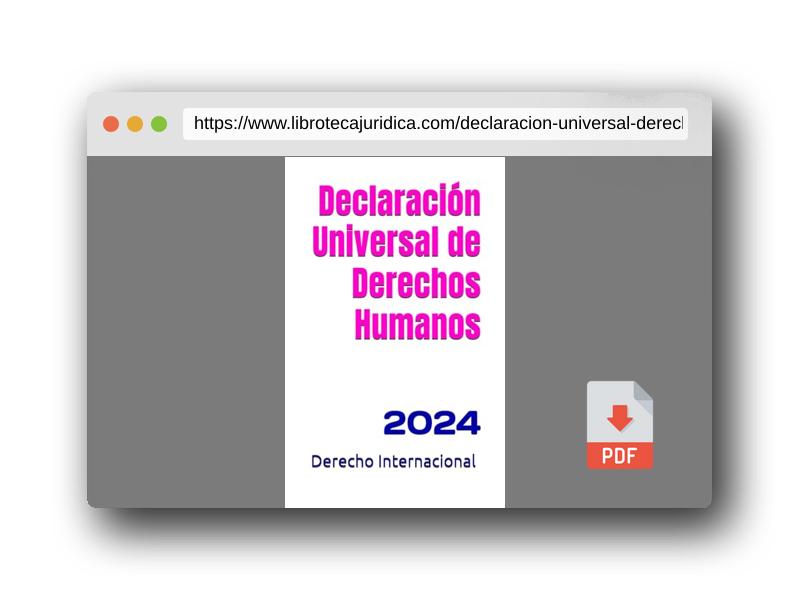 Vista previa del PDF del libro Declaración Universal de Derechos Humanos: 2024