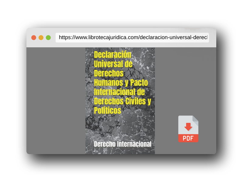 Vista previa del PDF del libro Declaración Universal de Derechos Humanos y Pacto Internacional de Derechos Civiles y Políticos