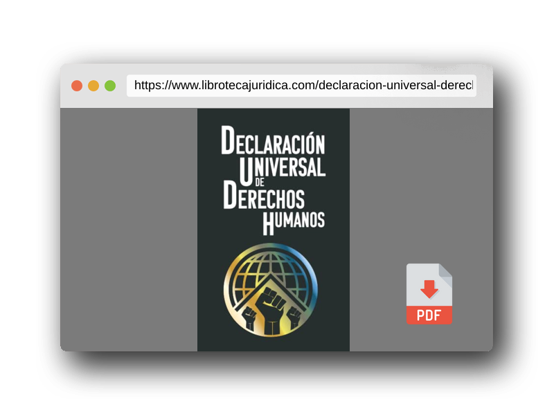 Vista previa del PDF del libro DECLARACIÓN UNIVERSAL DE DERECHOS HUMANOS