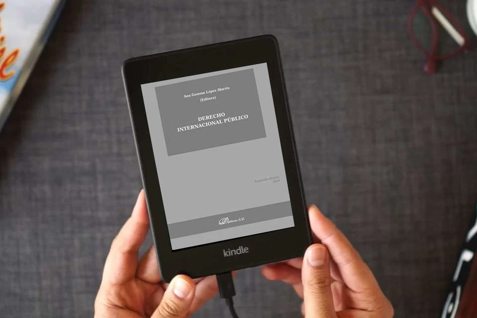 Lea en línea Derecho Internacional Público como un eBook Kindle
