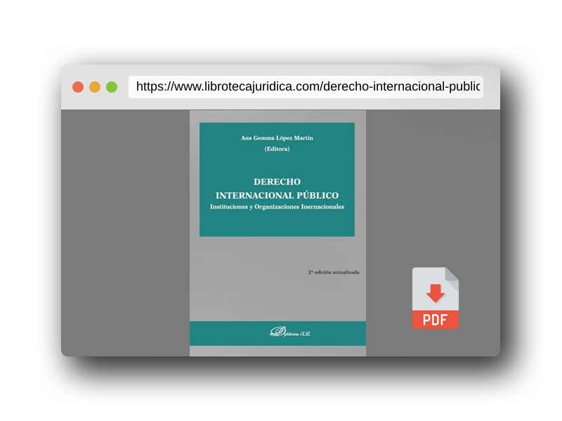 Vista previa del PDF del libro Derecho Internacional Público. Instituciones y Organizaciones Internacionales