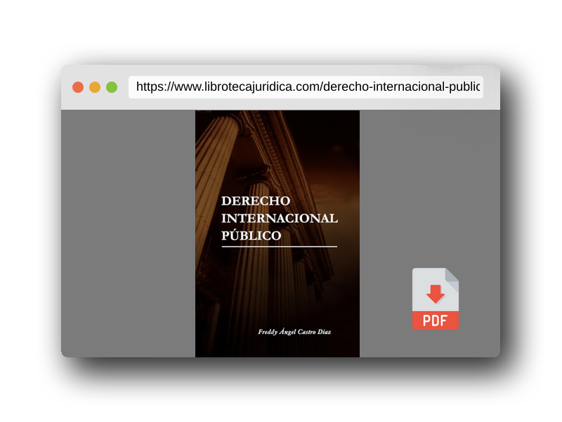 Vista previa del PDF del libro DERECHO INTERNACIONAL PUBLICO