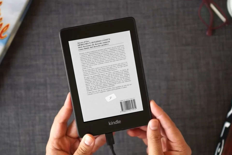 Lea en línea Derecho y Sentido Común (Cuadernos) como un eBook Kindle