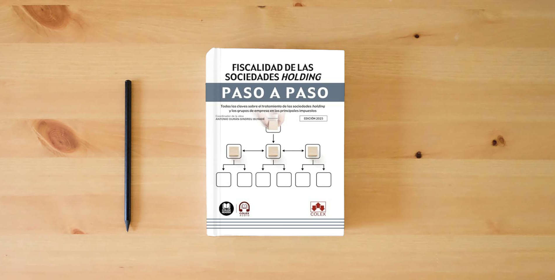 The book Fiscalidad de las sociedades holding. Paso a paso: Todas las claves sobre el tratamiento de las sociedades holding y los grupos de empresa en los principales impuestos is on the table