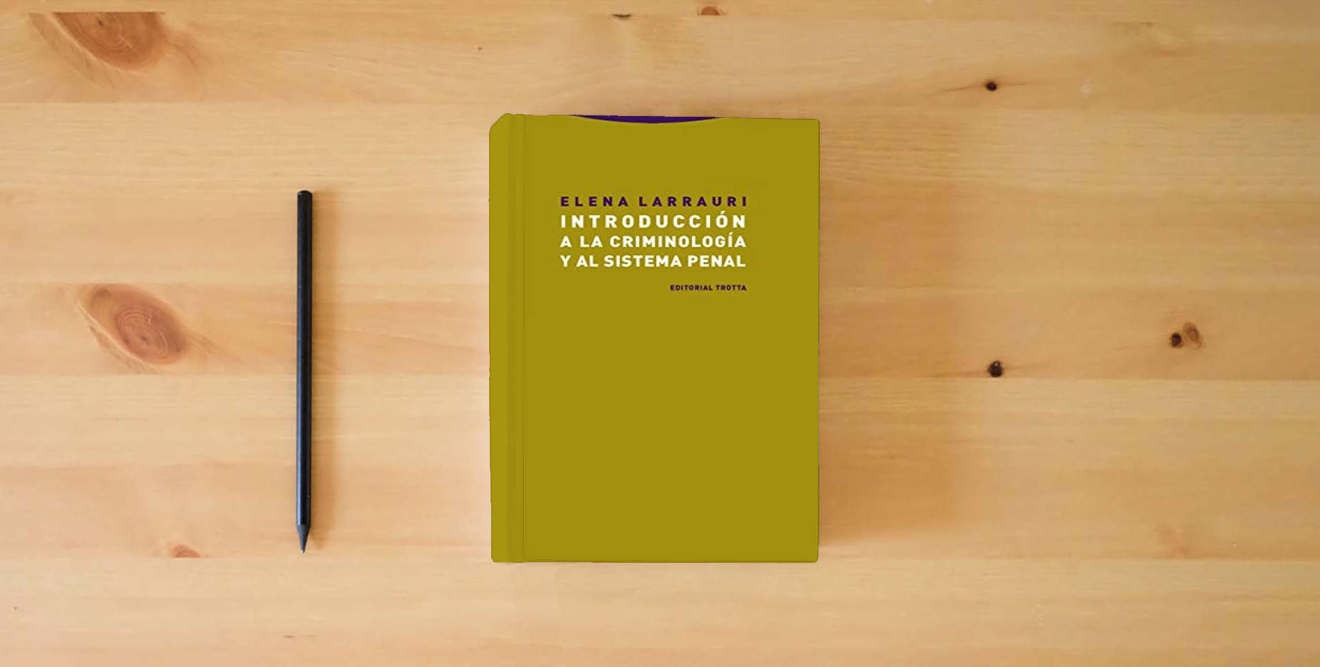 The book Introducción a la criminología y al sistema penal (ESTRUCTURAS Y PROCESOS - DERECHO) is on the table