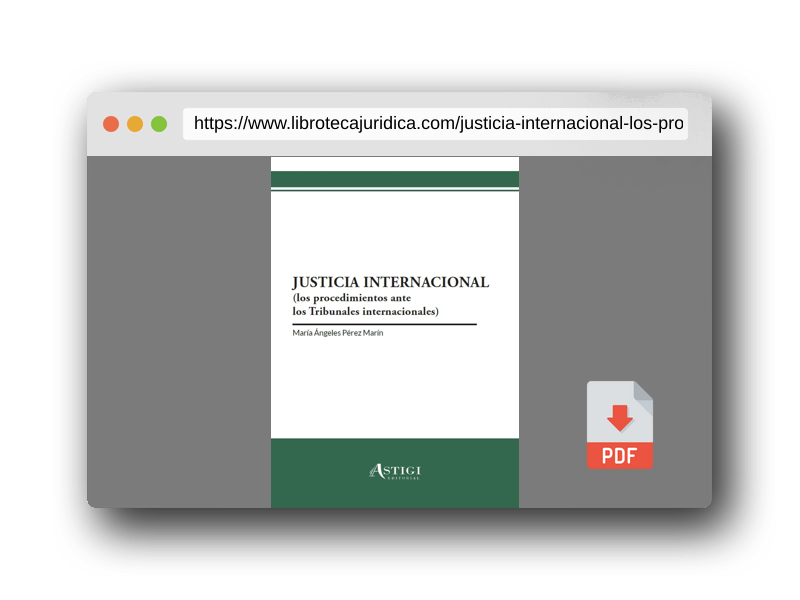 Vista previa del PDF del libro Justicia internacional: Los procedimientos ante los Tribunales internacionales