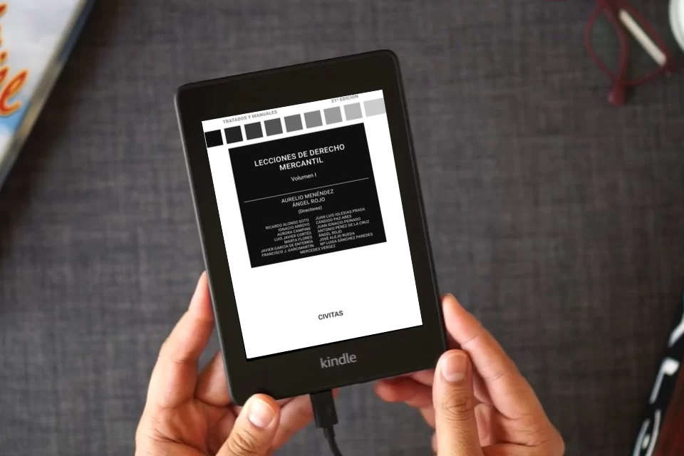 Lea en línea Lecciones de Derecho Mercantil Volumen I (Tratados y Manuales de Derecho) como un eBook Kindle