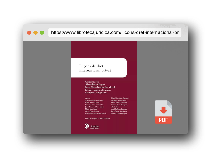 Vista previa del PDF del libro Lliçons de Dret Internacional Privat (MANUALES)