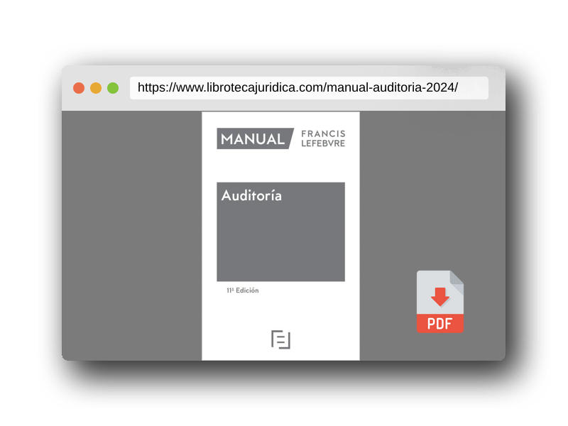 Vista previa del PDF del libro Manual de Auditoría 2024