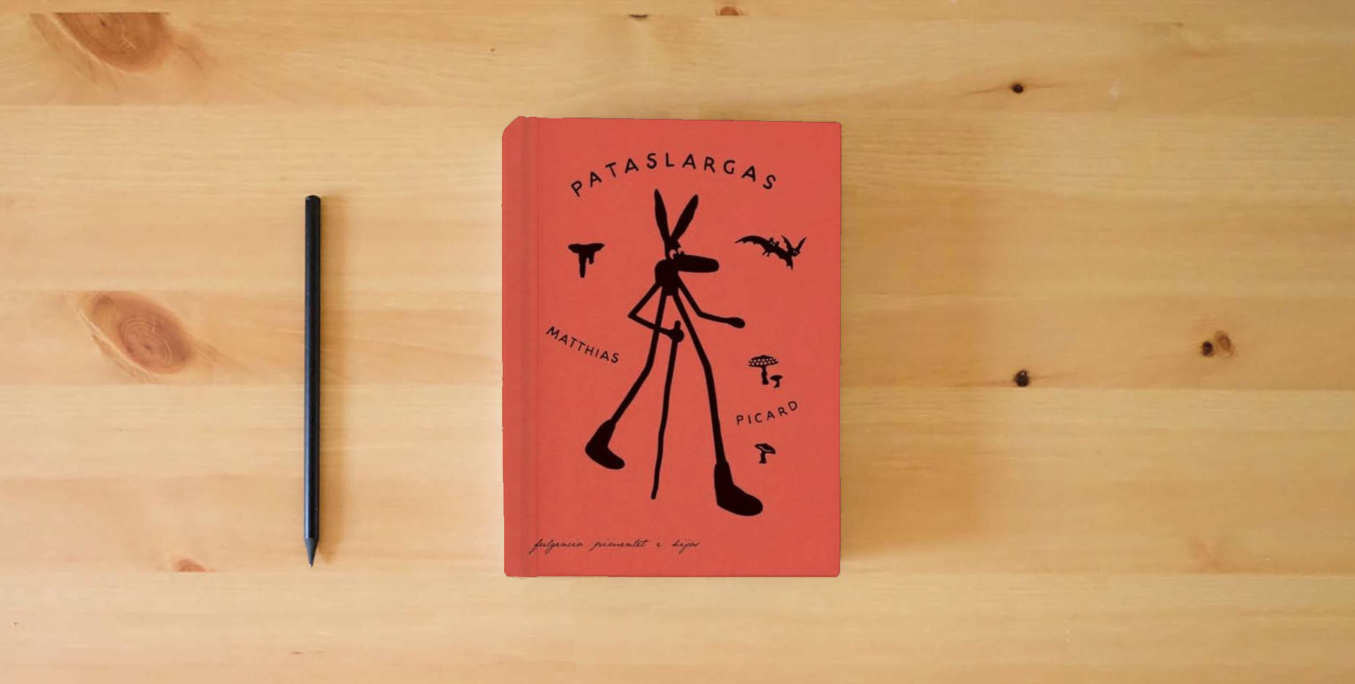 The book Pataslargas y el misterio de las profundidades (FULGENCIO PIMENTEL E HIJOS) is on the table