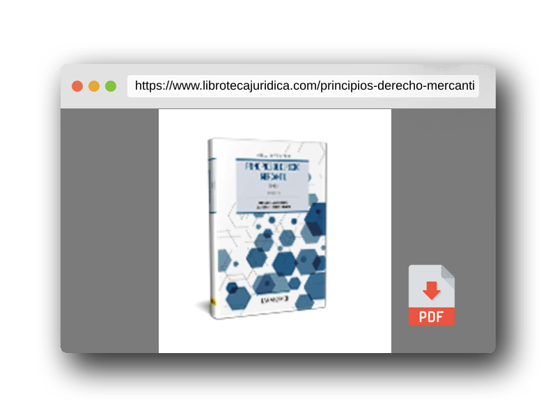 Vista previa del PDF del libro Principios de Derecho Mercantil (Tomo I) (Manuales)