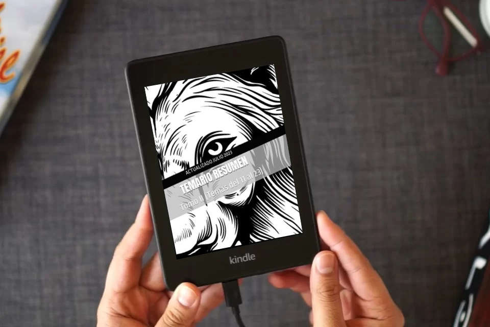 Lea en línea TEMARIO RESUMEN: Tomo II (Temas del 11 al 23) como un eBook Kindle