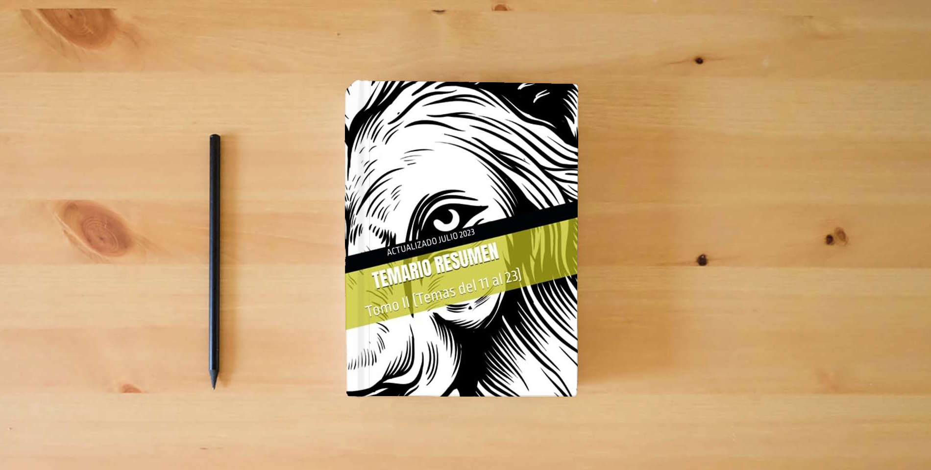 The book TEMARIO RESUMEN: Tomo II (Temas del 11 al 23) is on the table