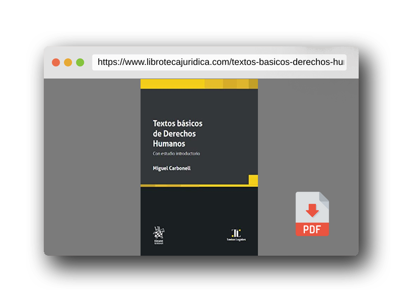 Vista previa del PDF del libro Textos básicos de Derechos Humanos. Con estudio introductorio (Textos Legales -Mexico-)