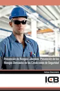 Portada del libro: Prevención de Riesgos Laborales: Prevención de los Riesgos Derivados de las Condiciones de Seguridad