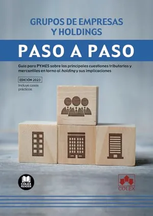 Portada del Libro: Grupos de empresas y holdings. Paso a paso: Guía para PYMES sobre las principales cuestiones tributarias y mercantiles en torno al holding y sus implicaciones: 1