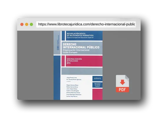 Vista previa del PDF del libro Derecho Internacional Público.(2ª ed.) Actualizada 2016 Organización Internacion (Colección de Estudios Internacionales)