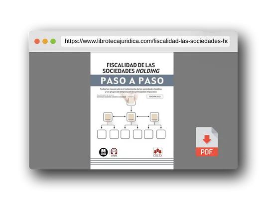 Vista previa del PDF del libro Fiscalidad de las sociedades holding. Paso a paso: Todas las claves sobre el tratamiento de las sociedades holding y los grupos de empresa en los principales impuestos