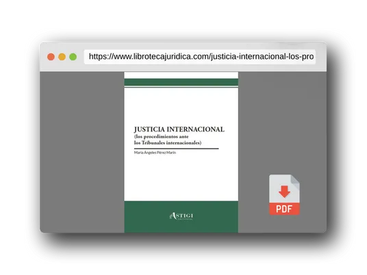 Vista previa del PDF del libro Justicia internacional: Los procedimientos ante los Tribunales internacionales