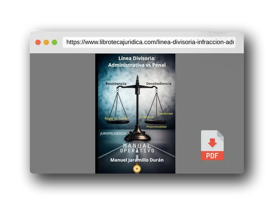 Vista previa del PDF del libro Línea Divisoria: Infracción Administrativa vs Penal.