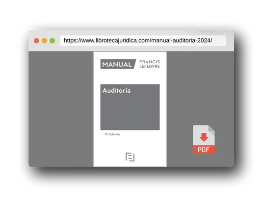 Vista previa del PDF del libro Manual de Auditoría 2024