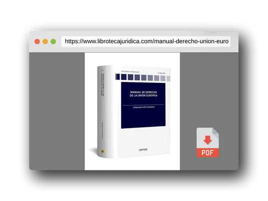 Vista previa del PDF del libro Manual de derecho de la Unión Europea (Tratados y Manuales de Derecho)