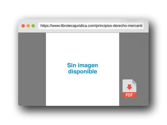Vista previa del PDF del libro Principios de Derecho Mercantil (Tomo II) (Manuales)