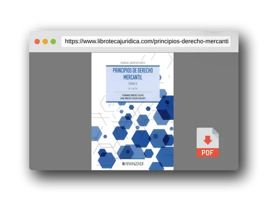 Vista previa del PDF del libro Principios de Derecho Mercantil (Tomo II) (Manuales)