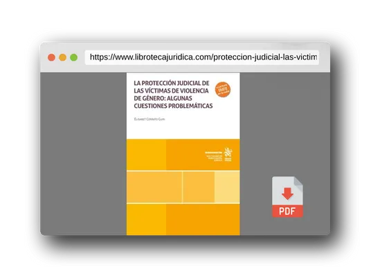 Vista previa del PDF del libro La protección judicial de las víctimas de violencia de género: algunas cuestiones problemáticas (Monografías)