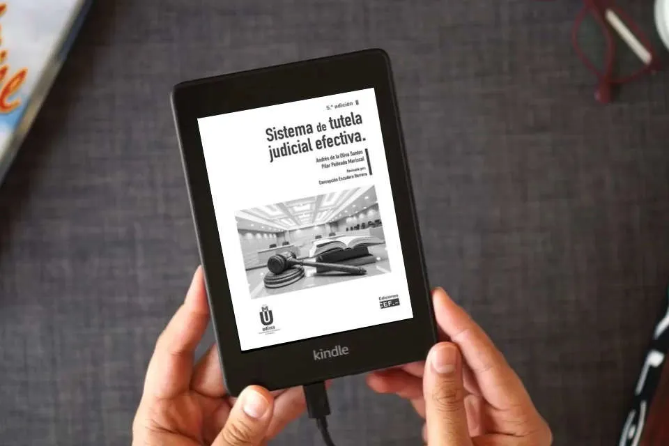 Lea en línea Sistema de tutela judicial efectiva (SIN COLECCION) como un eBook Kindle